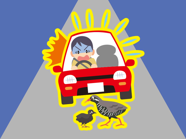 ロードキルにご注意下さい！